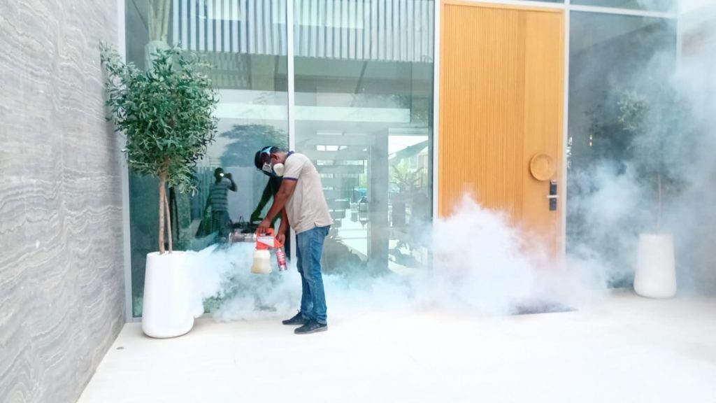 Flies Control in Dubai Villa