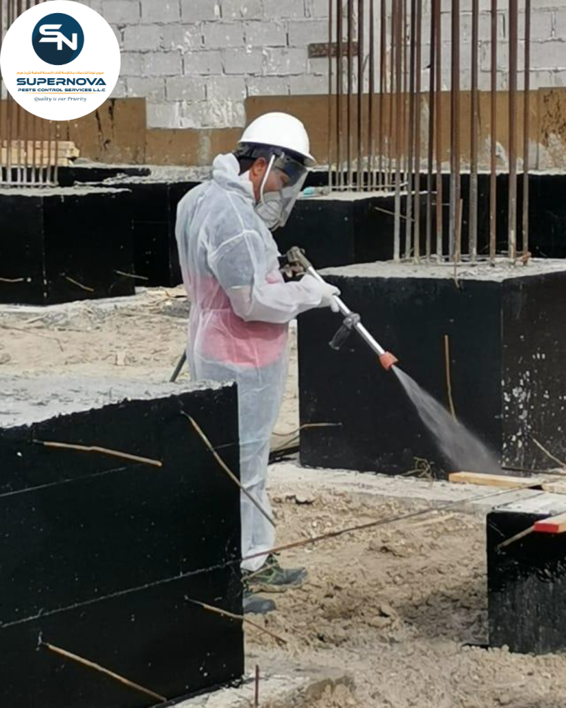 Foundation treatment for long-term termite prevention