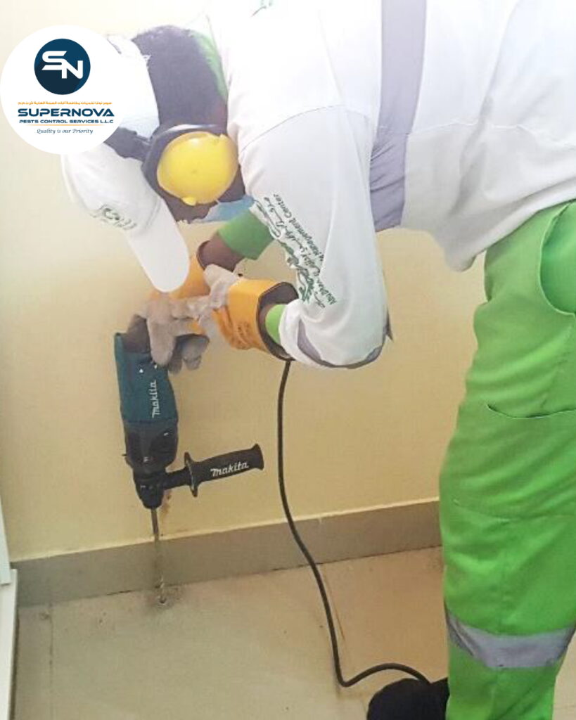 Technician applying termite prevention treatment inside a villa