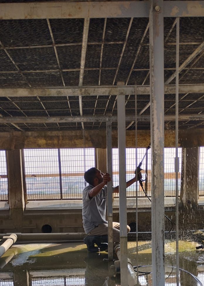 Specilaized Cleaning Service