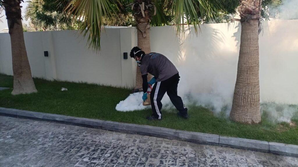 Thermal Fogging in Villa