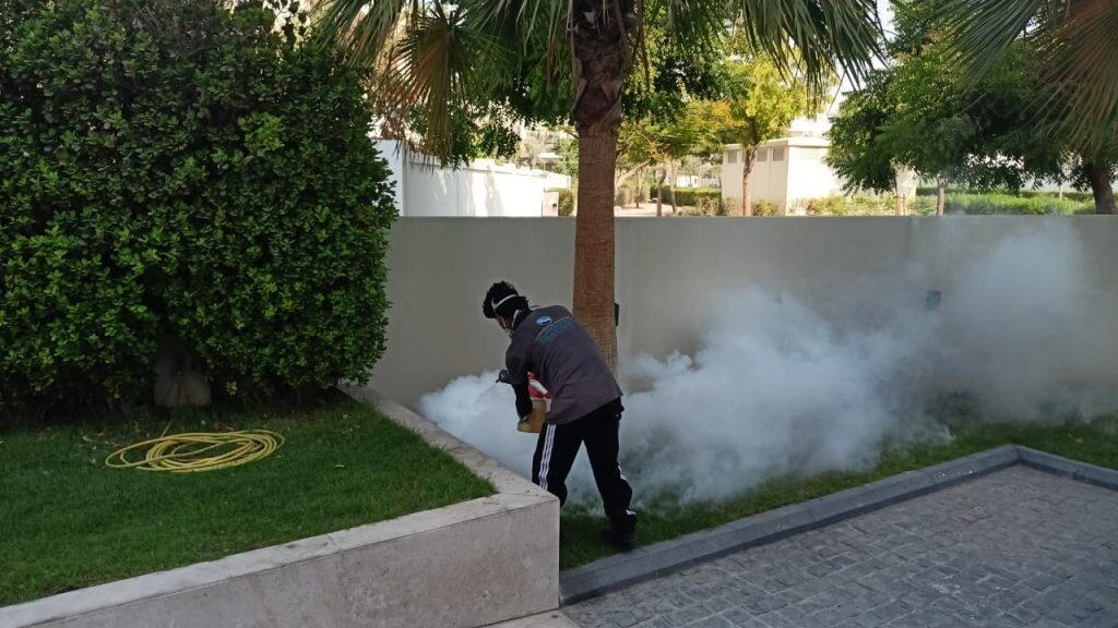 Thermal Fogging in Villa For Flies