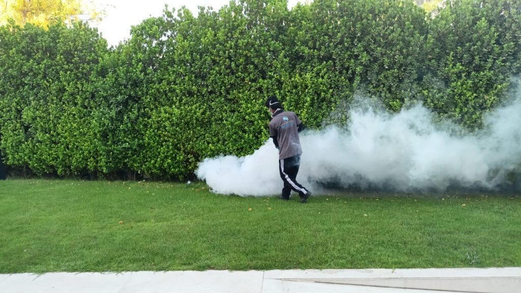 Thermal Fogging in Villa For Flies treatment