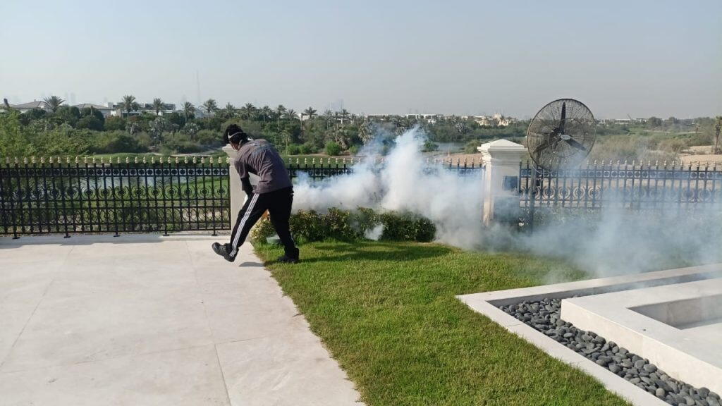 Thermal Fogging in Villa For Flies Management